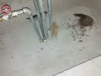 揭西卫生间测漏水价格明细